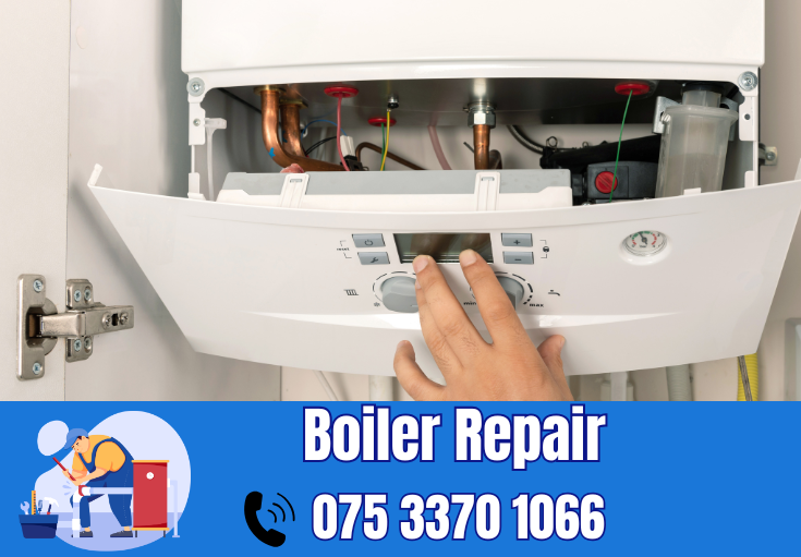 boiler repair Belvedere