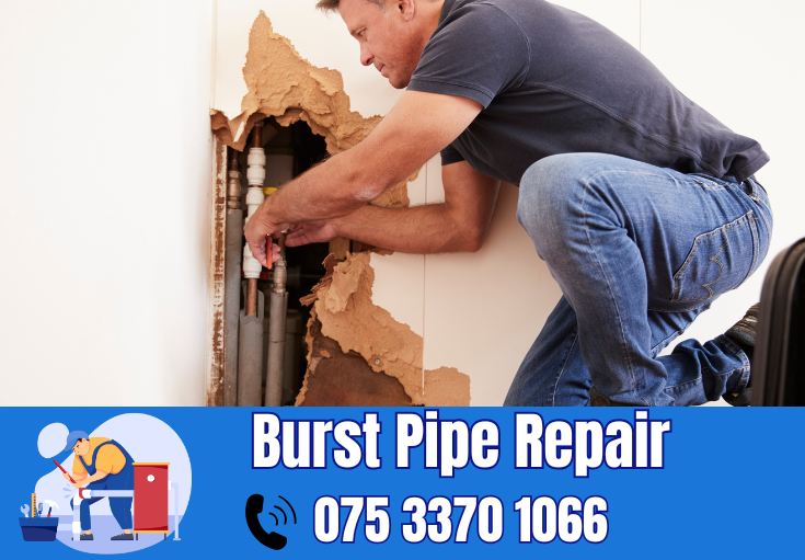 burst pipe repair Belvedere