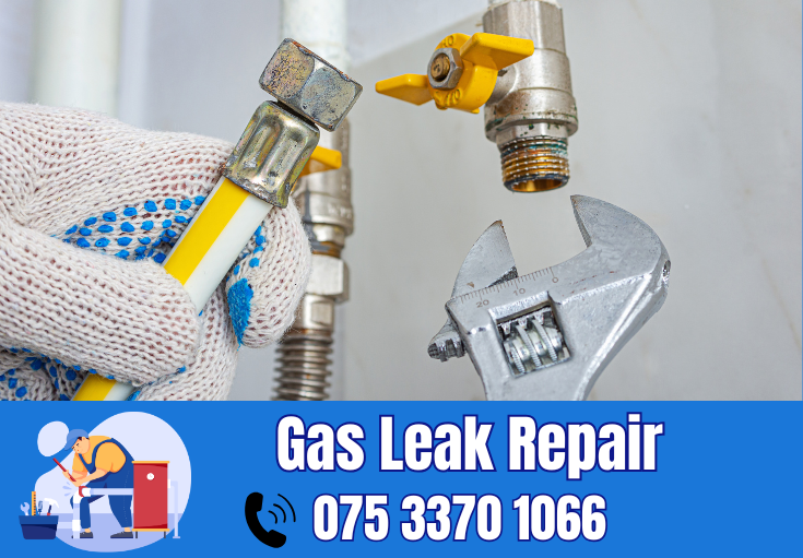 gas leak repair Belvedere
