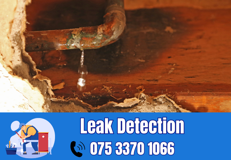 leak detection Belvedere