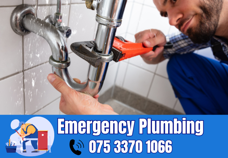  plumber Abbey Wood