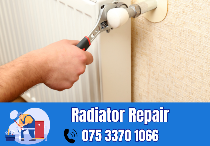 radiator repair and installation Belvedere
