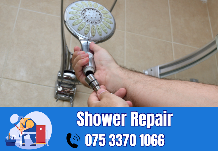 shower repair and installation Belvedere