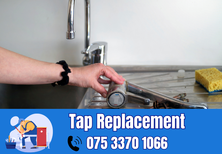 tap repair and replacement Belvedere