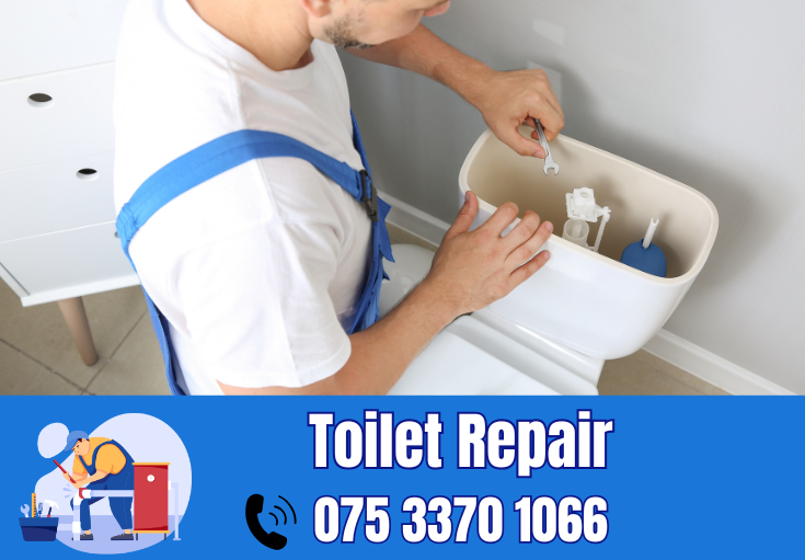 toilet repair Belvedere